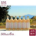 かわば 雪ほたかの飲む糀 500ml 6本セット 送料無料 糀甘酒 飲む糀 こうじ 糀 麹 米 酒 甘酒 あま酒 健康 群馬県 産地直送 お取り寄せ 贈答 ギフ...