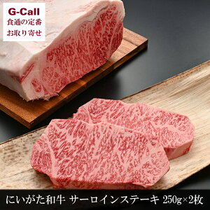 内山肉店 雪温熟成 サーロインステーキ250g×2枚 ギフト/お取り寄せ/牛肉/プレゼント/贈り物/高級