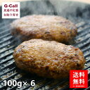 おさつポーク 焼ポークハンバーグ 100g 6個 特製ジャポネソース付き 北海道・沖縄送料別 お取り寄せ 肉類 肉加工品 豚肉 国産豚 宮崎県 冷凍