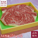 JA宮崎中央 宮崎牛 A4等級 サーロインステーキ 250g 2枚入り 送料無料 牛肉 肉 ステーキ肉 ブランド肉 高級 宮崎県 産地直送 お取り寄せ 贈答 お祝い 自宅用