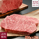 内山肉店 にいがた和牛 雪温貯蔵 シャトーロイン 250g×2枚 送料無料 和牛 牛肉 サーロイン ステーキ 高級肉 お祝い 贈答 ギフト 瞬間冷凍 新潟 産地直送