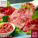 菅乃屋 千興ファーム 鮮馬刺しスライス バラエティーセット 5種セット 送料無料 冷凍 馬肉 馬刺し ユッケ ロース 大トロ 熊本 個食 お取り寄せ 贈答 ギフ...