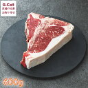 やまのおかげ屋 鳥取県産牛Tボーンステーキ 600g 北海道・沖縄送料別 ステーキ 和牛 骨付き 肉 牛肉 国産 鳥取産 BBQ キャンプ メーカー直送 お取り寄せ