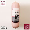十勝池田食品 十勝ボロニアソーセージ250g 送料無料 豚肉 サンドイッチ おつまみ 肉 加工品 ソーセージ 北海道 生産者直送 ファミリーサイズ ボロニア 池...
