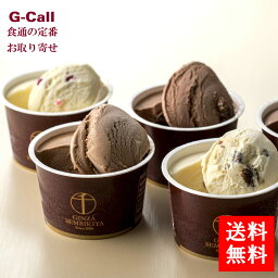 銀座千疋屋 銀座ショコラアイス 10個 送料無料 千疋屋 アイス アイスクリーム チョコ チョコ味 デザート せんびきや