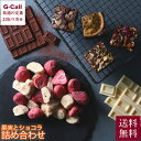 ホシフルーツ フルーツチョコレート ホシフルーツ 果実とショコラ 詰め合わせ 送料無料 チョコレート ドライフルーツ イチゴ バナナ ブラウニー ナッツ ピスタチオ バレンタイン 贈答 ギフト