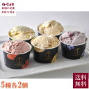 銀座千疋屋 銀座プレミアムアイス 10個 送料無料 アイス 千疋屋 デザート せんびきや 銀座 アイスクリーム フルーツ とちおとめ