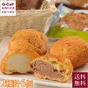 乳蔵 北海道シュークリーム 2種 計6個 江戸屋 送料無料 シュークリーム ミルク チョコ お取り寄せ 洋菓子 お菓子 スイーツ おやつ 贈答 ギフト プレゼン...