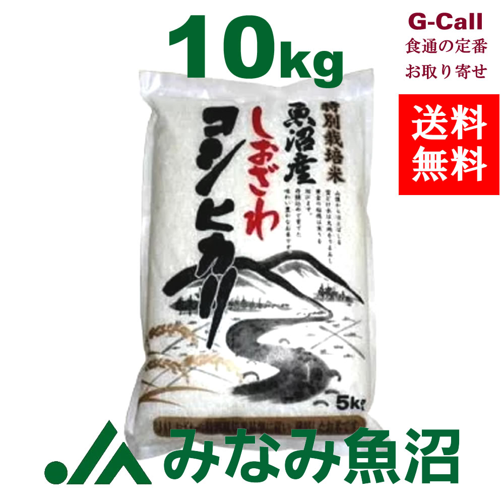 JAみなみ魚沼 令和3年産 新潟県 農薬化学肥料不使用 南魚沼産しおざわコシヒカリ 10kg 送料無料 こしひかり お米 新米 精米 白米 産地直送 贈答 ギフト ごはん 旧塩沢町