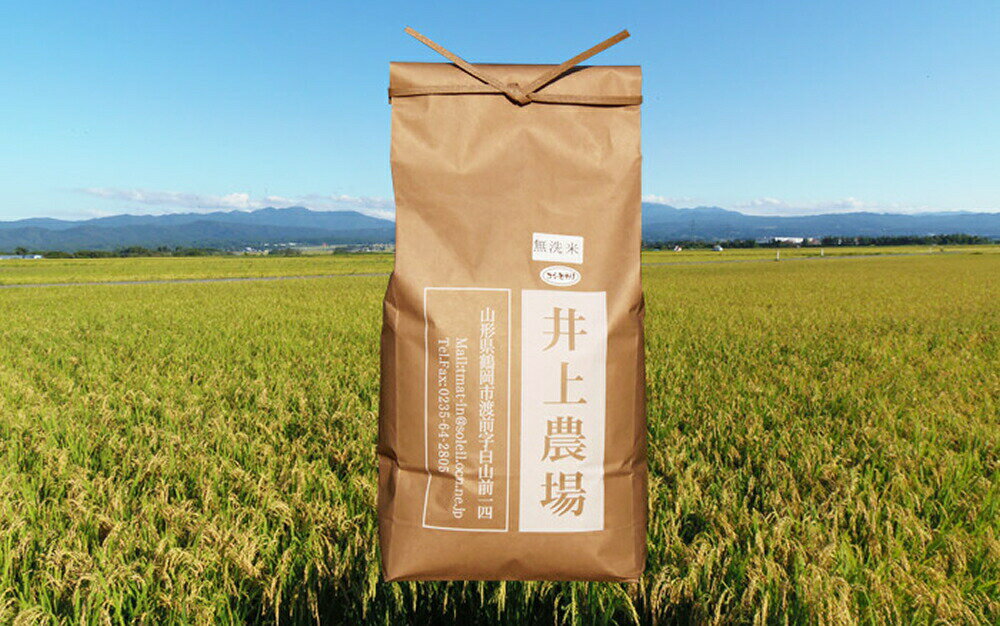 井上農場の特別栽培米　山形県産　無洗米　コシヒカリ　5kg　お取り寄せ/お米/精米/ごはん/白米/産地直送