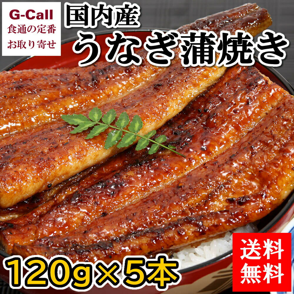 うなぎ屋かわすい 国内産うなぎ蒲焼 大サイズ 120g 5本...