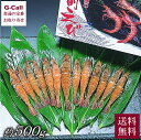 福井漁連 船内凍結越前えび 約500g 約30匹 送料無料 エビ 海老 海鮮 瞬間凍結 福井県 産地直送 冷凍便 鮮度抜群 美味しい お刺身 塩焼き お吸い物 ...