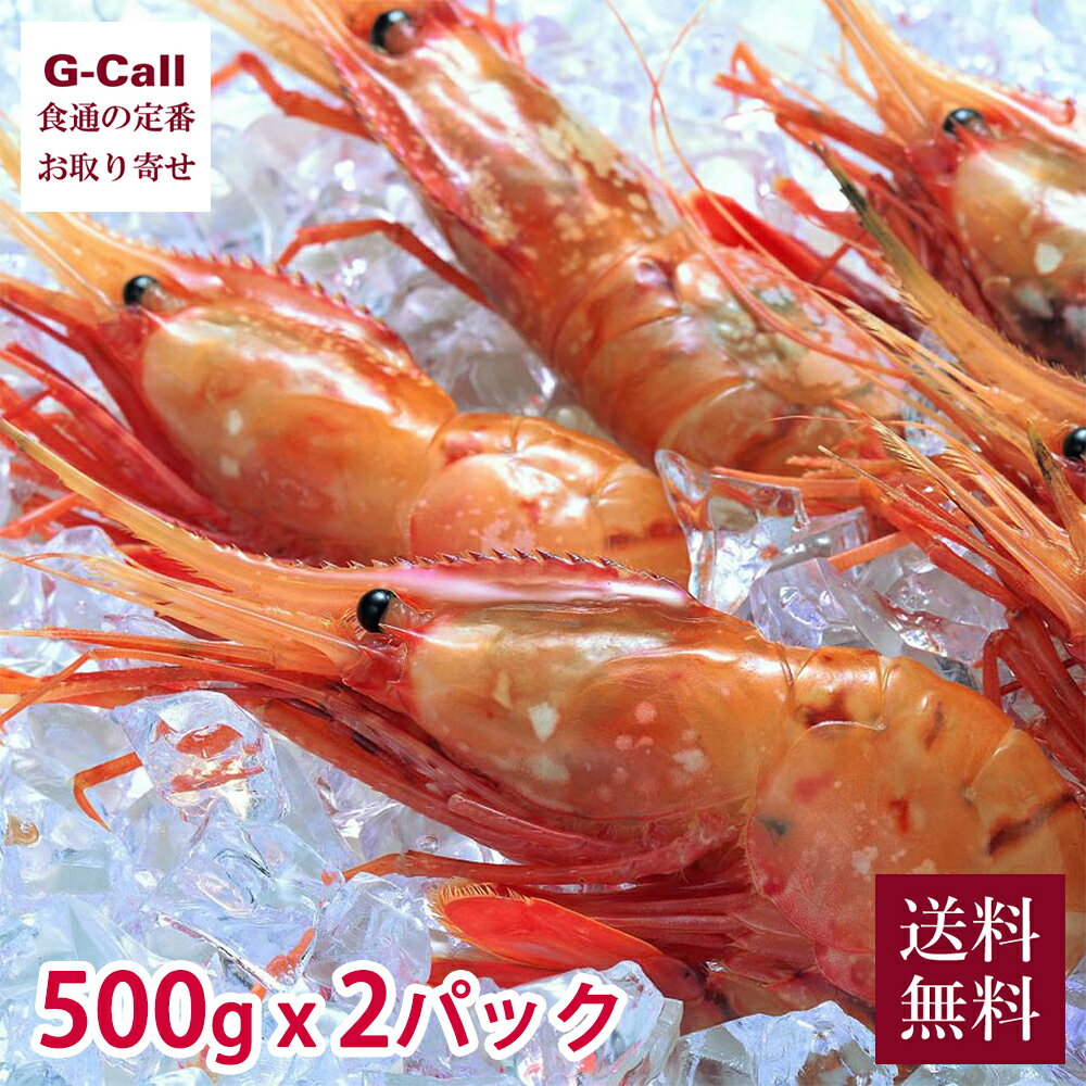 網走水産 特大お刺身ぼたんえび 500g 2パック L～2L 送料無料 北海道 徳用 ぼたん海老 牡丹海老 ボタンエビ 海老 えび お刺身 化粧箱 お取り寄せ 産地直送