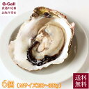 清浄 的矢かき 岩かき 200〜300g 6個 佐藤養殖場 送料無料 6月上旬から7月下旬お届け 冷蔵 三重 岩牡蠣 的矢 牡蠣 岩ガキ 魚介 軍手 ナイフ 産...