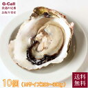 清浄 的矢かき 岩かき 200〜300g 10個 佐藤養殖場 送料無料 6月上旬から7月下旬お届け 冷蔵 三重 岩牡蠣 的矢 牡蠣 岩ガキ 魚介 軍手 ナイフ ...