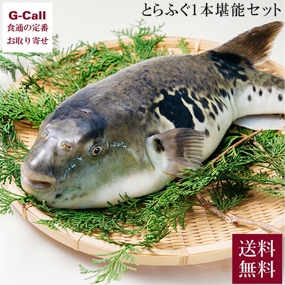 ふく成 とらふぐ 六福-ROPPUKU- とらふぐ1本堪能セット 送料無料 ふぐ フグ ふぐ料理 魚 ...