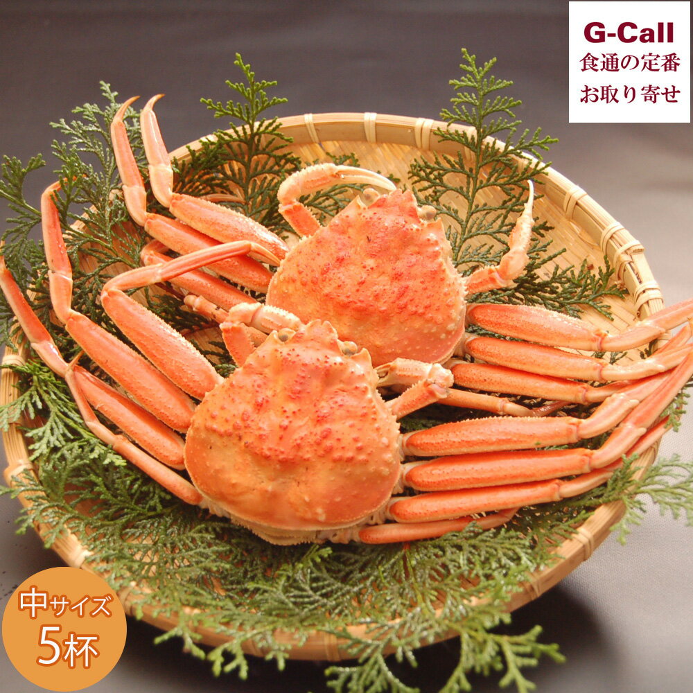 山米鮮魚 松葉ガニの本場 釜茹でセコガニ(訳あり) 中サイズ 5杯 北海道・沖縄送料別 蟹 カニ かに カニミソ カニ身 松葉ガニ 内子 外子 新鮮 兵庫県 生...