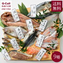 JF福井漁連 越前 国産干物セット9種 華 プレミアム 送料無料 干物 ひもの 鯖 ホッケ 鯵 イカ 鰈 鰤 味噌漬け 漬け魚 漬魚 冷凍 魚介 魚 福井県 贈...
