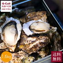 JF広島漁連 広島牡蠣のカンカン焼き 1.6kg 12~20個 送料無料 広島県産 軍手 ナイフ付 牡蠣 カキ かき 殻付き シーフード 魚介 産地直送 お取り寄せ BBQ