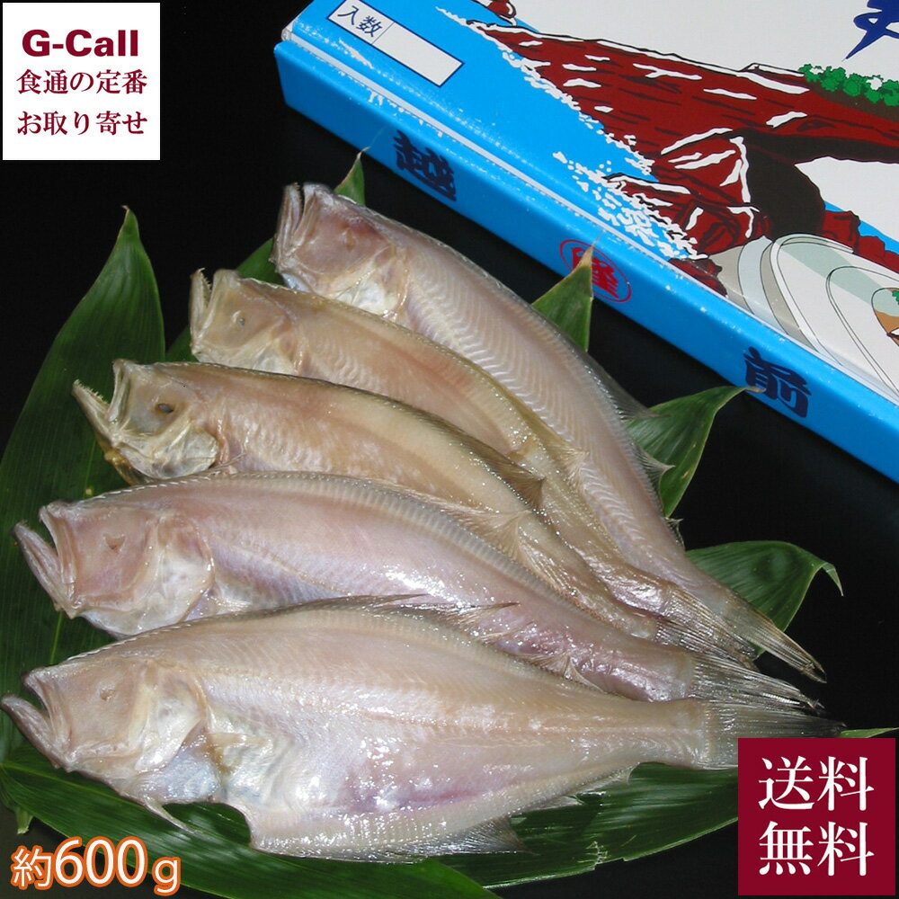 JF福井漁連 越前がれい 一夜干 約600g 5〜8枚 送料無料 冷凍 福井 魚 さかな 赤がれい 焼き魚 唐揚げ あんかけ ご飯のお供 国産 お取り寄せ 海鮮 グルメ