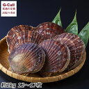 白砂活貝組 青森県産 活ホタテガイ 約2kg 12〜17枚 北海道/四国/九州/沖縄送料別 冷蔵 ホタテ貝 貝 帆立 数量限定 陸奥湾 殻付き 天然物 産地直送...
