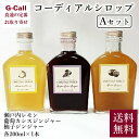 ベジターレ コーディアルシロップ Aセット 各200ml×1本 送料無料 シロップ 柚子 ゆず 葡萄 ぶどう カシス ジンジャー レモン