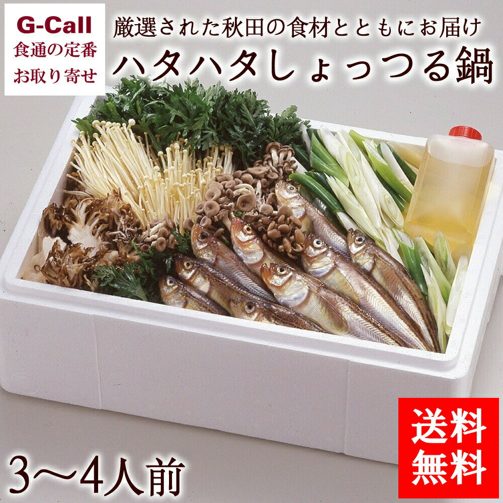 三浦米太郎商店 ハタハタしょっつる鍋セット 3～4人前 九州 沖縄送料別 秋田名物 秋田県 舞茸 しめじ えのき ネギ