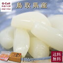 鳥取砂丘 砂丘らっきょう漬け 箱入り1.2kg 200g×6袋 JA鳥取いなば 送料無料 らっきょう ラッキョウ らっきょう漬け 漬物 漬け物 辣韭