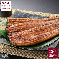 【冷凍】 浜松 うなぎの井口 国産うなぎ蒲焼 国産 うなぎ 長蒲焼 2尾セット 送料無料 無添加 蒲焼 かば焼き ウナギ 鰻 冷凍 惣菜 魚介 和食 ギフト