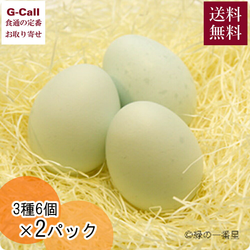 田子たまご村 ミックス 緑の一番星 有精卵 にんにく卵 3種 6個 2パック 送料無料 タマゴ 玉子 たまご 鶏卵 卵かけご飯 たまごかけご飯 お取り寄せ