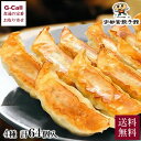 宇都宮餃子館 人気の4種セット 8個 2セット 各16個 計64個 北海道/四国/九州・沖縄送料別 生産者直送 ギフト 贈答 ぎょうざ ギョウザ 栃木県 宇都宮...