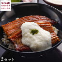 浅草むぎとろ うなとろセット 北海道/四国/九州・沖縄送料別 ギフト 浅草 むぎとろ とろろ 丑の日 うなぎ 鰻 ウナギ 山芋 生産者直送