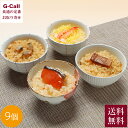 京 料亭 わらびの里 料亭一膳 里一 30D 9個 送料無料 炊き込みご飯 たきこみ ご飯 ごはん 赤飯 さけ 鮭 ちらし ちりめん 簡単調理 お取り寄せ 生産者直送