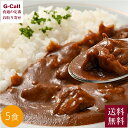 内山肉店 別格 雪温貯蔵雪ひかりポークレトルトカレー 5食入り 送料無料 レトルト カレー 新潟県産 豚肉 魚沼の里 雪温熟成 肉たっぷり 新潟 ギフト お取り...