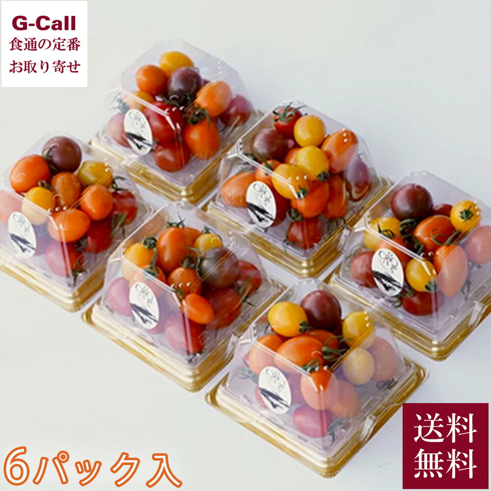 Inakakara Farm to Table カピオトマト パックセット 130g 6パック 12月上旬〜5月下旬発送 送料無料 とまと ミニトマト 産地直送