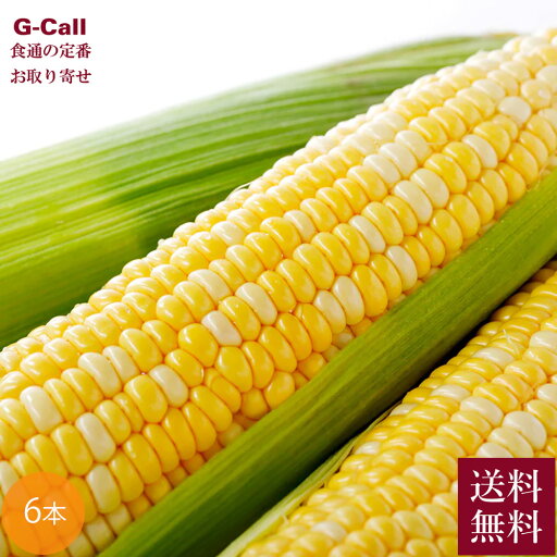 とうもろこし ドルチェドリーム 6本 Inakakara Farm to Table 山梨県 6月〜8月中旬出荷 送料無料 産地直送 トウモロコシ コーン 高糖度 高風味 野菜 とうきび とうもろこし ドルチェドリーム 6本 Inakakara Farm to Table 山梨県 6月〜8月中旬出荷 送料無料 産地直送 トウモロコシ コーン 高糖度 高風味 野菜 とうきび