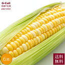 Inakakara Farm to Table 山梨県 甲府市特産 とうもろこし ミルフィーユ 6本 6月〜8月中旬発送 送料無料 産地直送 トウモロコシ コー...