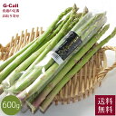 香川産 アスパラガス さぬきのめざめ L〜3L 600g 送料無料 4月上旬〜6月上旬出荷 万果 アスパラ 野菜 讃岐 新鮮 鮮度抜群 旬 オリジナル品種 ギフ...