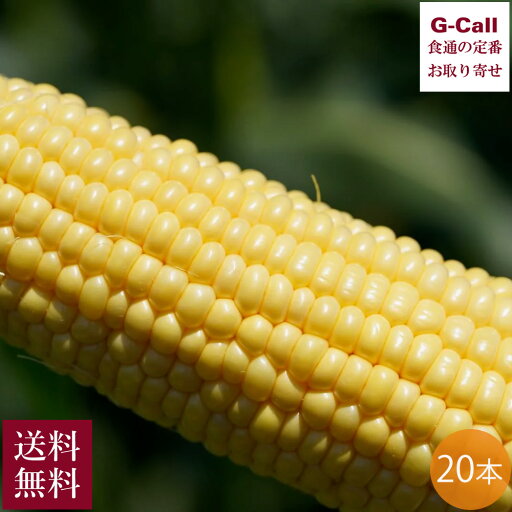 山梨県産とうもろこし 金蜜ゴールド 20本 6月上旬〜8月上旬発送 Inakakara Farm to Table 送料無料 産地直送 トウモロコシ コーン 高糖度 高品質 甘い 野菜 山梨県産とうもろこし 金蜜ゴールド 20本 6月上旬〜8月上旬発送 Inakakara Farm to Table 送料無料 産地直送 トウモロコシ コーン 高糖度 高品質 甘い 野菜