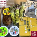 大見屋のわさび わさび Aセット 6種セット 送料無料 わさび漬 わさびみそ わさびのり 茎の三杯漬 生わさび ステンレスすり板付き ワサビ 調味料 贈答 詰合...