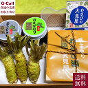 わさびの大見屋 大見屋のわさびセット Bセット わさび漬 わさびみそ わさびのり 生わさび プラスチック製すり板付き 送料無料 わさびBセット 山葵 ワサビ 贈...