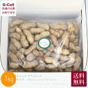 Inakakara 山梨県産 大粒生落花生 おおまさり 1kg 9月中旬から10月上旬出荷 指定日不可 送料無料 野菜 旬 産地直送 落花生 ピーナッツ 豆 おやつ おつまみ