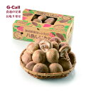 JAみなみ魚沼 八色(やいろ) 生しいたけ 1kg箱入 送料無料 椎茸 シイタケ きのこ キノコ 新潟県 南魚沼産 肉厚