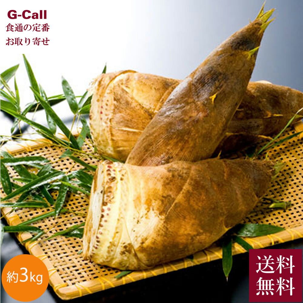 楽天市場】たけのこ(総重量(野菜)3.0 ~ 3.9kg)(その他野菜 楽天市場】たけのこ(総重量(野菜)3.0 ~ 3.9kg)(その他野菜