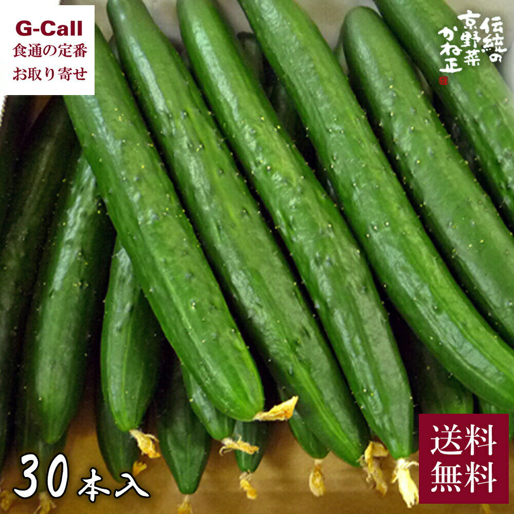 楽天G-Call 食通の定番 お取り寄せ京野菜 かね正 花付きゅうり 3～4L サイズ 約5kg 30本 送料無料 野菜 旬 季節限定 ベジタブル キュウリ 産地直送 新鮮 シャキシャキ 夏 絶品 花付き 京都 久御山