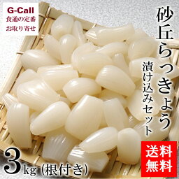 鳥取砂丘 砂丘らっきょう漬け込み 根付き 3kgセット 送料無料 らっきょう 漬物 おつまみ 野菜 旬 ラッキョウ 産地直送 お取り寄せ 惣菜 おかず