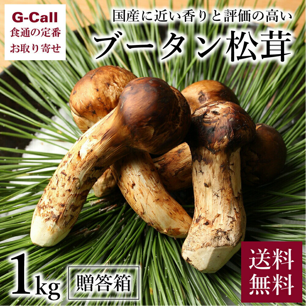 ブータン松茸 1kg 約16～24本 贈答箱 送料無料 松茸 マツタケ まつたけ 天然 野菜 きのこ 旬 香り 高評価 冷蔵 キノコ 新鮮 お取り寄せ グルメ 贈答 ギフト