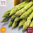 JAさが さが風土館季楽 佐賀産グリーンアスパラガス 約1kg 6月中旬~8月下旬出荷 送料無料 アスパラ 野菜 冷蔵 産地直送 佐賀 国産 1000g ギフト 贈答