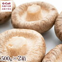 徳島産 岩手産 厚切りしいたけ 500g×2箱 北海道/四国/九州・沖縄送料別 野菜 高級 お得 肉厚 歯ごたえ 旬 きのこ キノコ 椎茸 1kg 1000g