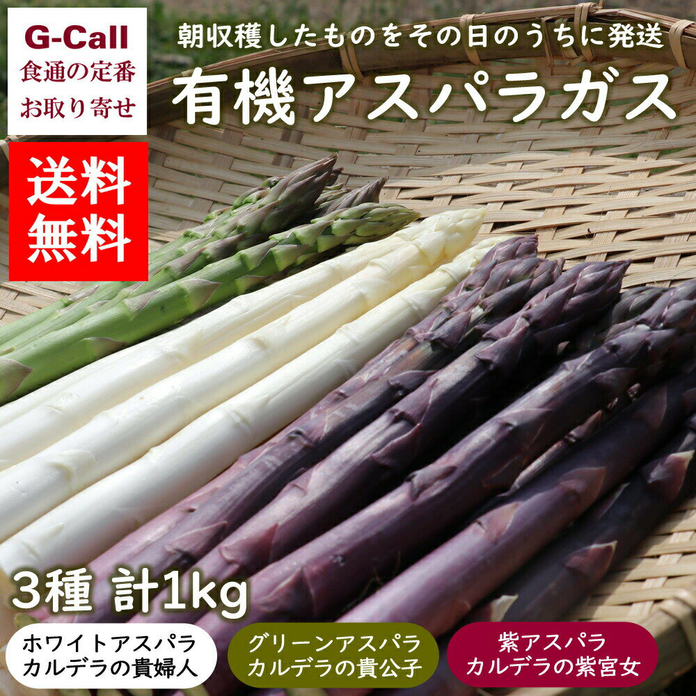 滝本農場 有機JAS認定 アスパラガス3種セット ホワイト2L グリーンLM パープル2L・L 計1kg 送料無料 野菜 カルデラの貴婦人 貴公子 紫宮女 生産者直送 北海道